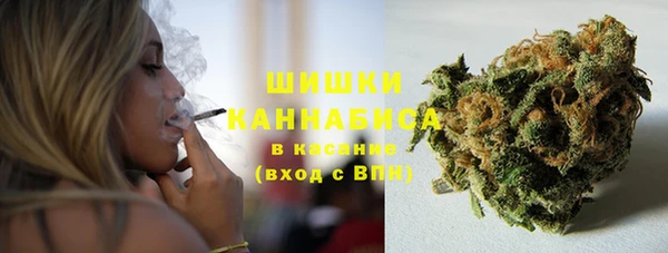 прущая мука Верея