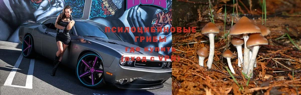 прущая мука Верея