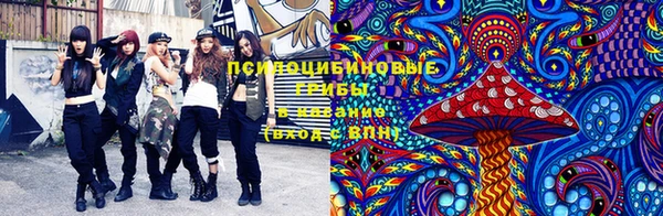 гашик Верхнеуральск