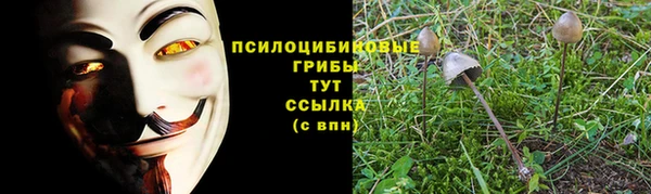ALPHA PVP Верхний Тагил